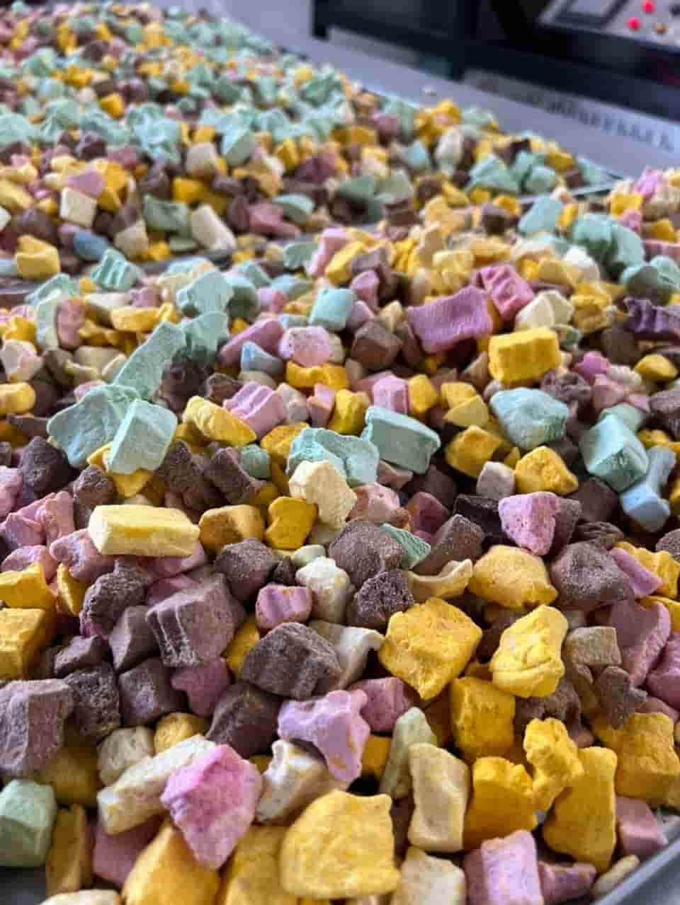 تصویر 2 از بستنی خشک رژیمی فرمول سبک متعادل